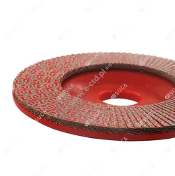 Diamentowy dysk ścierny FASTLINE LM ROSSO 200 - 2